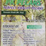 WhatsApp Image 2025-10-21 at 12.59.55_24fb71c7